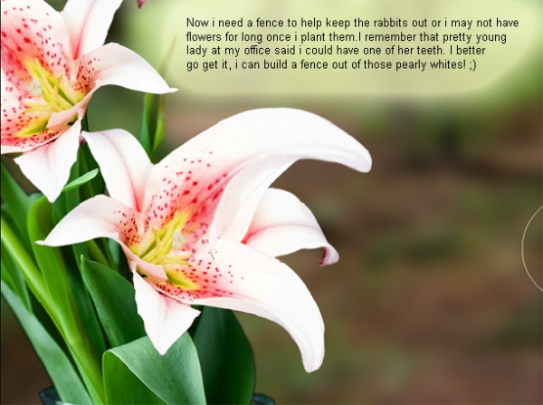 Creation of Garden girl: Step 14